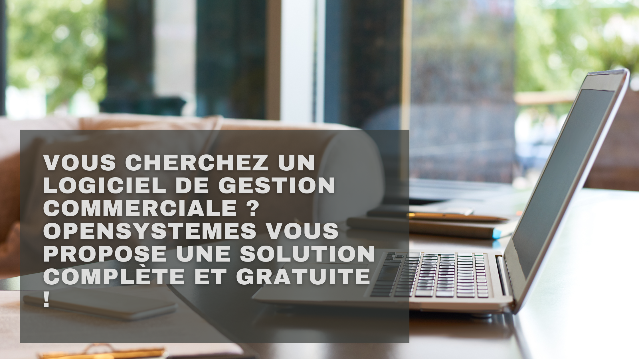 Logiciel de Gestion Commerciale